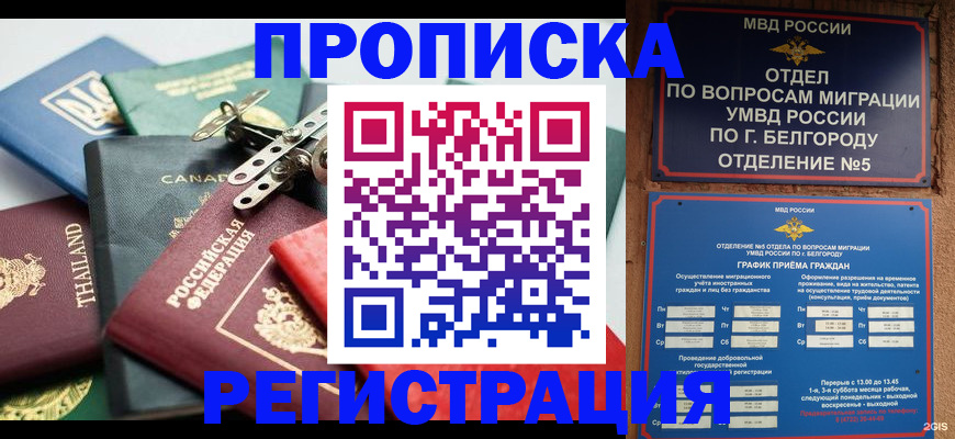 временная регистрация недорого в Луховицах